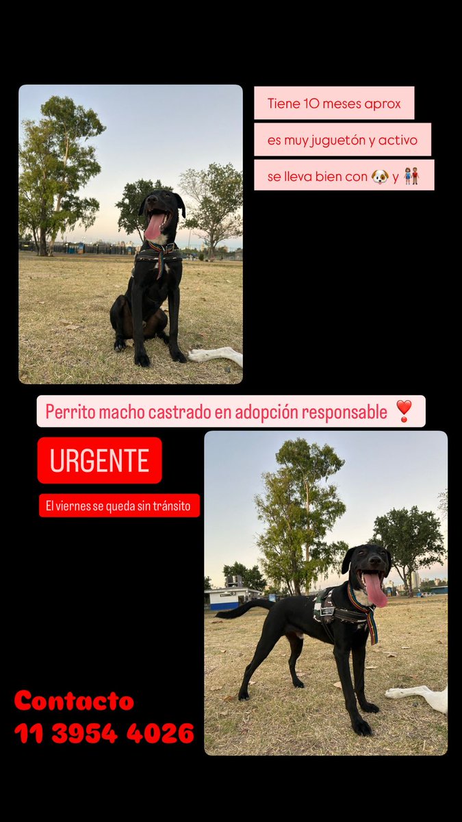 FigueredoRamiro's tweet photo. https://t.co/zkHkuzcXUh