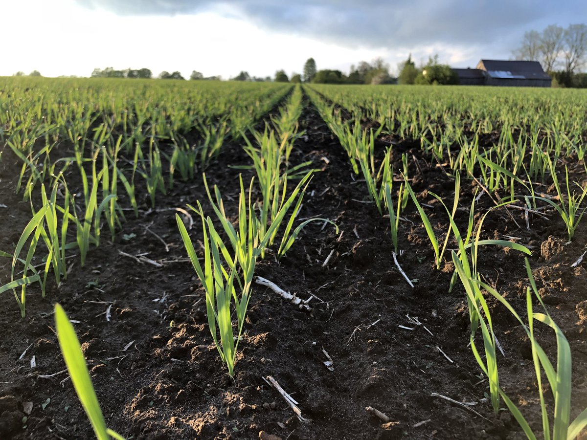 Jonathan Zettler 🇨🇦 tweet media