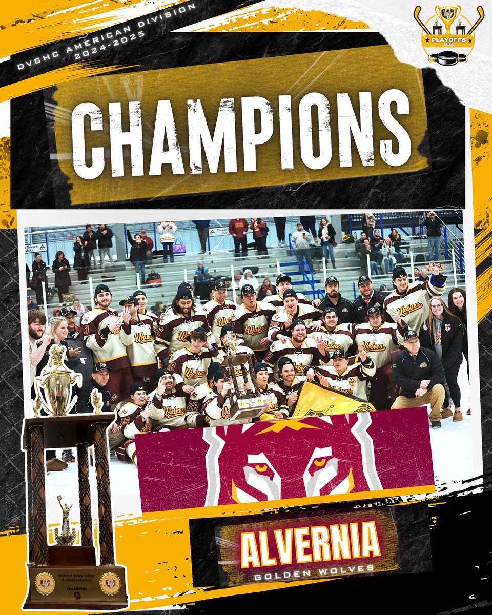 DVCHC Men's Hockey tweet media