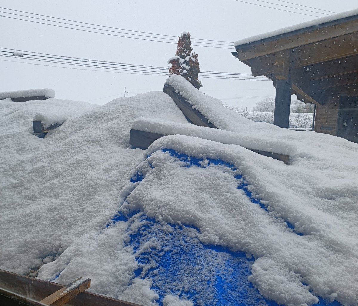 3月なのに雪が〜イヤだわ〜☃️☃️☃️