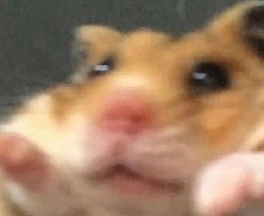 "Ah no es mucho" dice
Ya quisiera yo tener un cuarto de esa figura