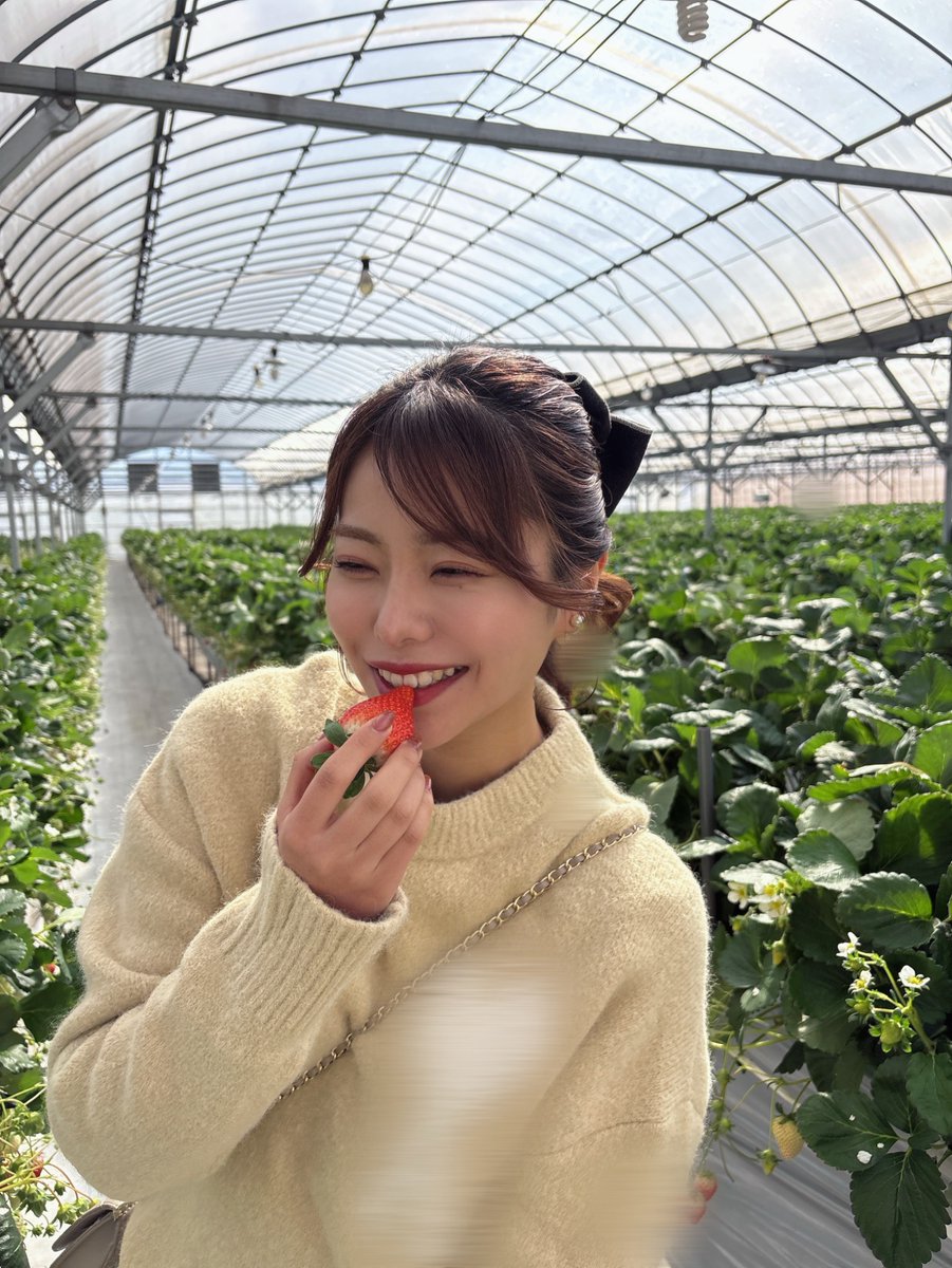 おはようございます😊

友人といちご狩りに行ってきました🍓

昨年いちご狩りに行った時は、約50個食べて体調を崩してしまったので...(^^;)
今回は少し控えめの約30個...👀‼️

大好きないちごを沢山頬張りました😌♥️

#BT2024 #BT_SEIKA #大阪エヴェッサ