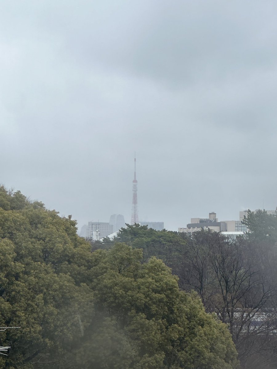 流石に雨だるいな。😇