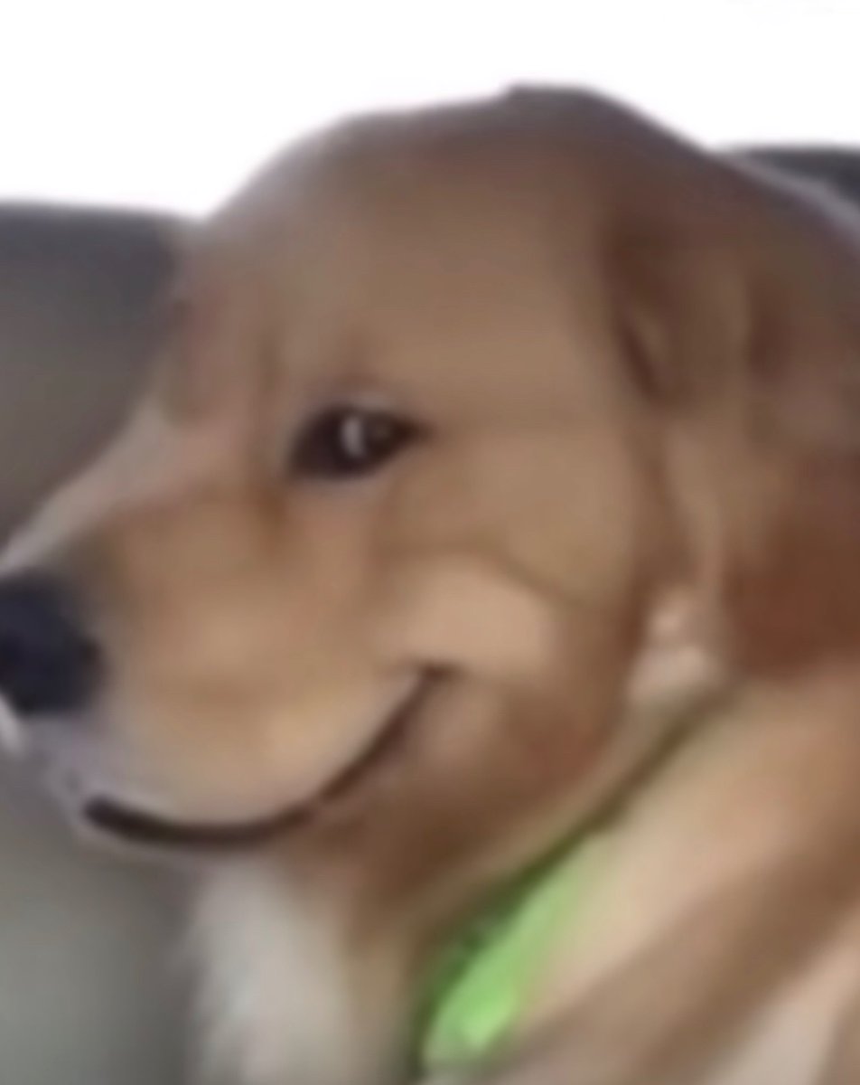 InternetUnwind's tweet image. 