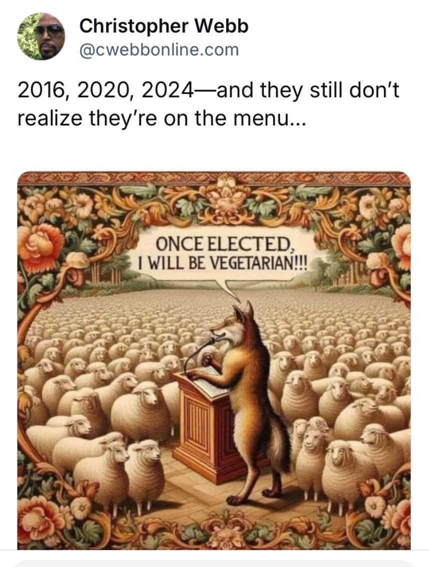 Anson MacLauchlan tweet media