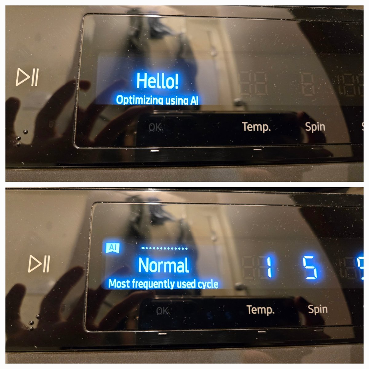 Vered Shwartz tweet media