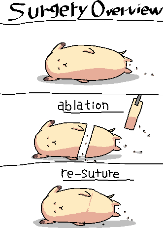 かわいそう えっちな絵くだ 