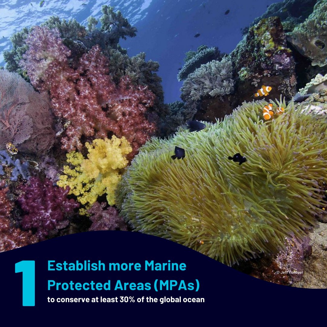 TNCAsiaPacific's tweet image. 🌊 More needs to be done to #SaveTheOcean. This #WorldWildlifeDay, learn how our Indonesian partner, Yayasan Konservasi Alam Nusantara (#YKAN) is helping to protect our oceans: nature.ly/3CZtyup  

#TheNatureConservancy