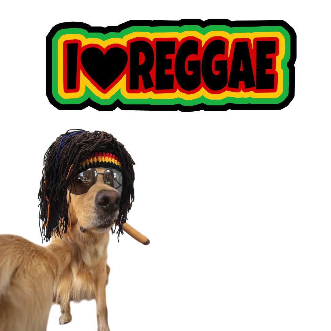 ShillingGains's tweet photo. @MINHxDYNASTY $Brog is going to change some lives 

He also love reggae 

QsSzCLS938LrK92VUv2z8Uh57AxgpLZEtH4zNV1pump https://t.co/M6jLmkQ9EW