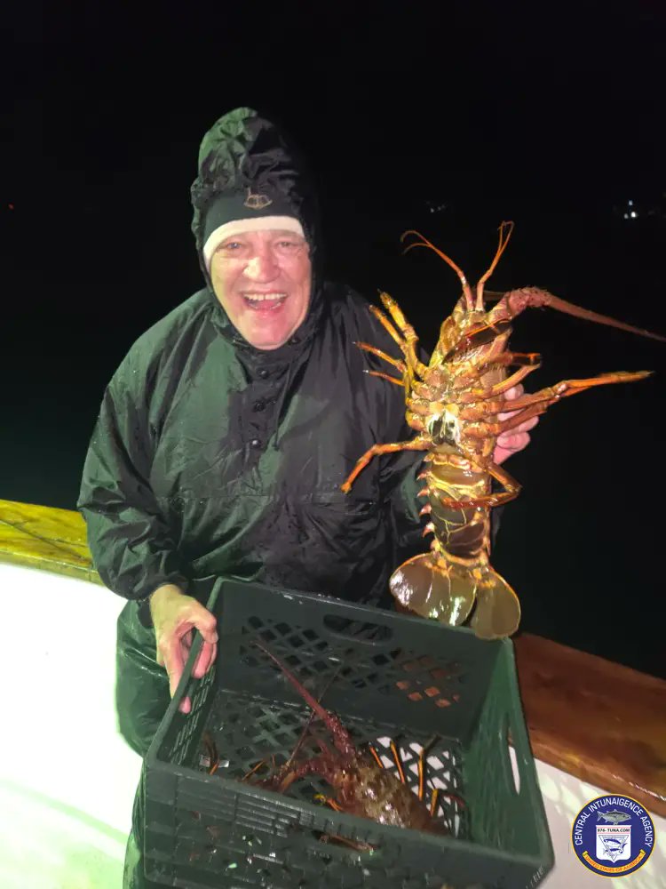 976tuna's tweet photo. Gail Force Lobster Wrap Up Report Sun Mar 2, 2025 https://t.co/LPgszN3XOe #gailforce #lawaterfrontsportfishing #fish #fishing #fishingtrip #oceanfishing #socalfishing #fishingtrip #goodtimes #livebait #saltlife #saltwater #tasty #thetugisthedrug https://t.co/3VcLFtlqKf
