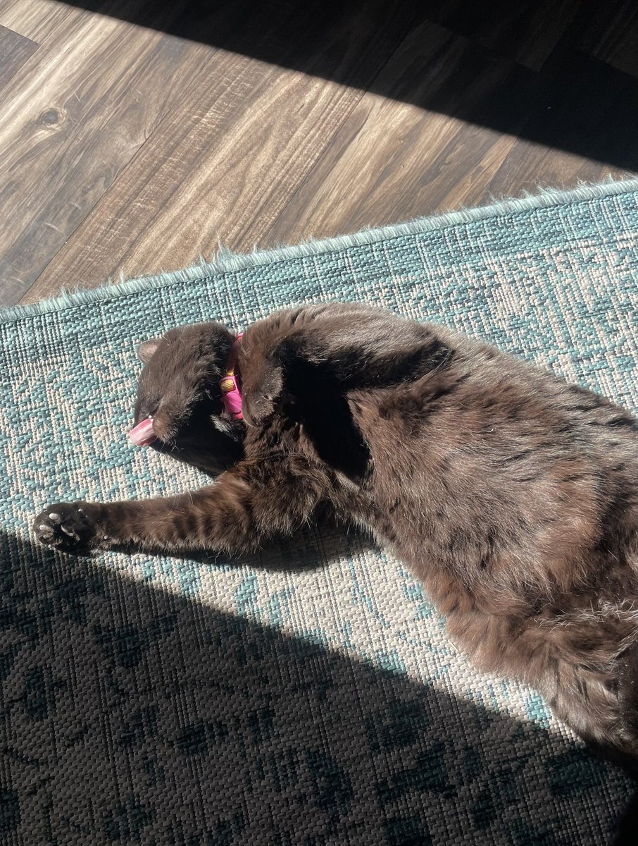 Lucy living her best life this weekend