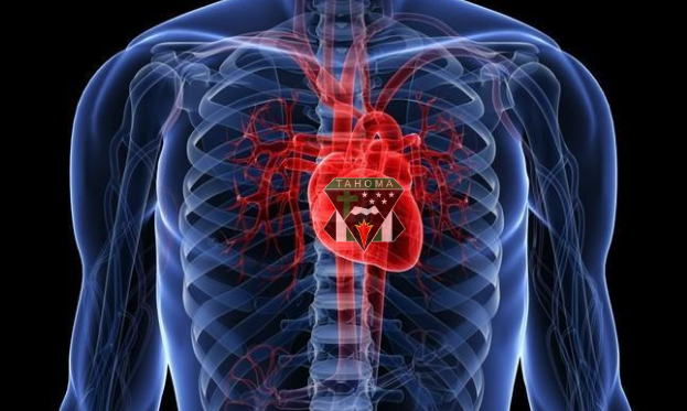 escuadrontahoma's tweet photo. Evangelio de Lc 6, 39-45.

"la boca habla de lo que está lleno el corazón."

Mi corazón: https://t.co/4WD8rIkgBF