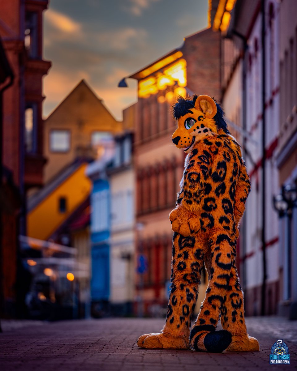 Curious kitty

😺<a href="/Goldeneyeuro/">Account Not in Use- Check my Linktr.ee</a>
📷<a href="/nukecreations/">☢️Nuke Creations☢️</a>
