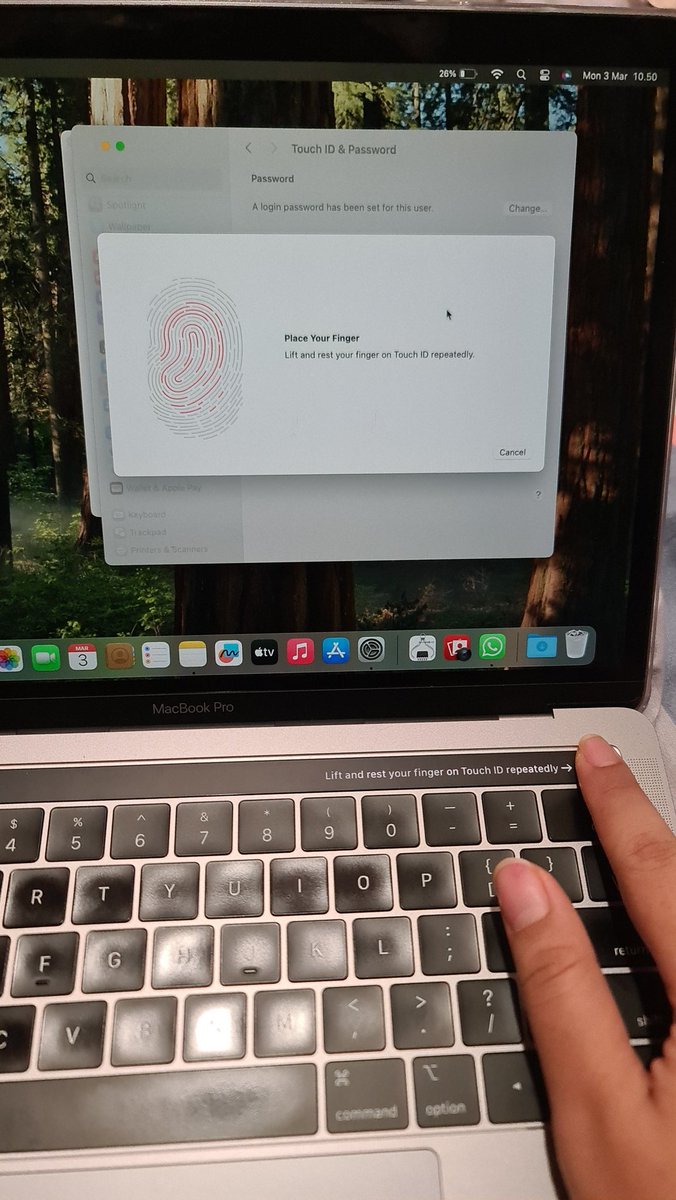 ka✨️ tweet media