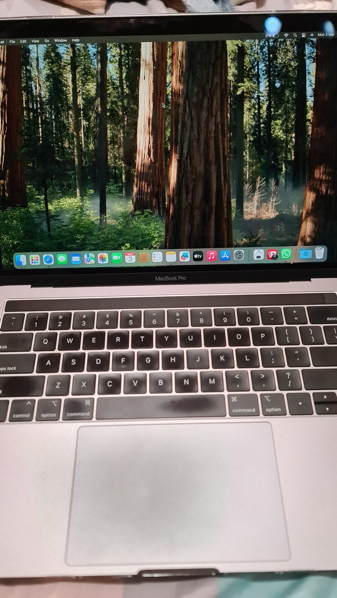 ka✨️ tweet media