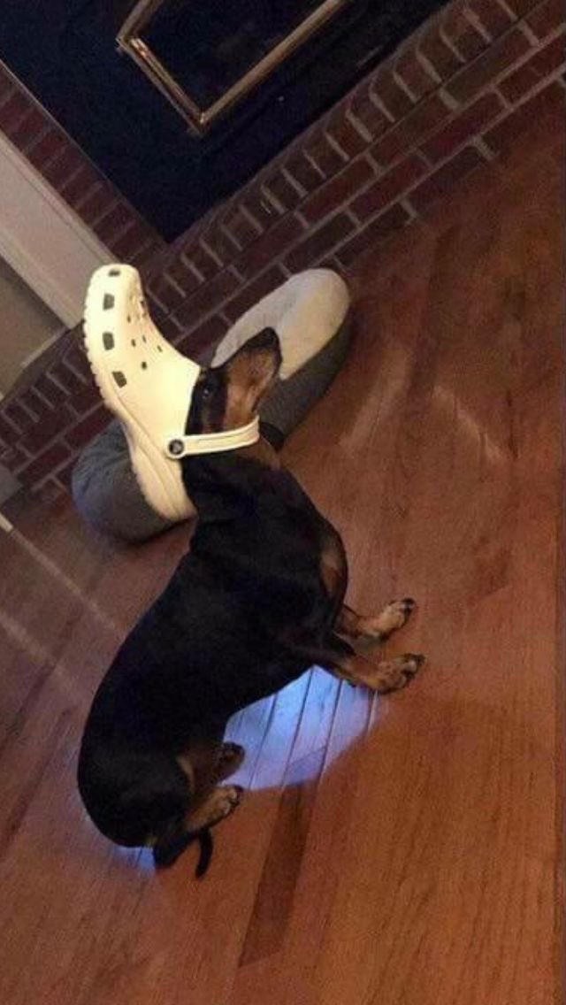 twaniimals's tweet photo. https://t.co/u7Mzsw1xSk