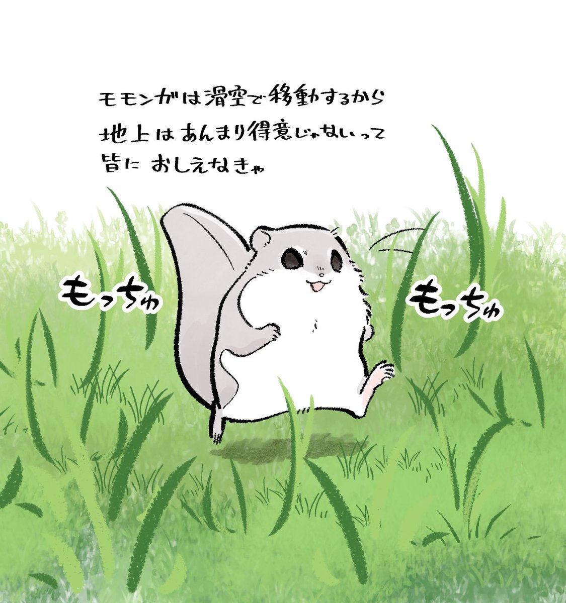 今さらだけどエッホエッホ 