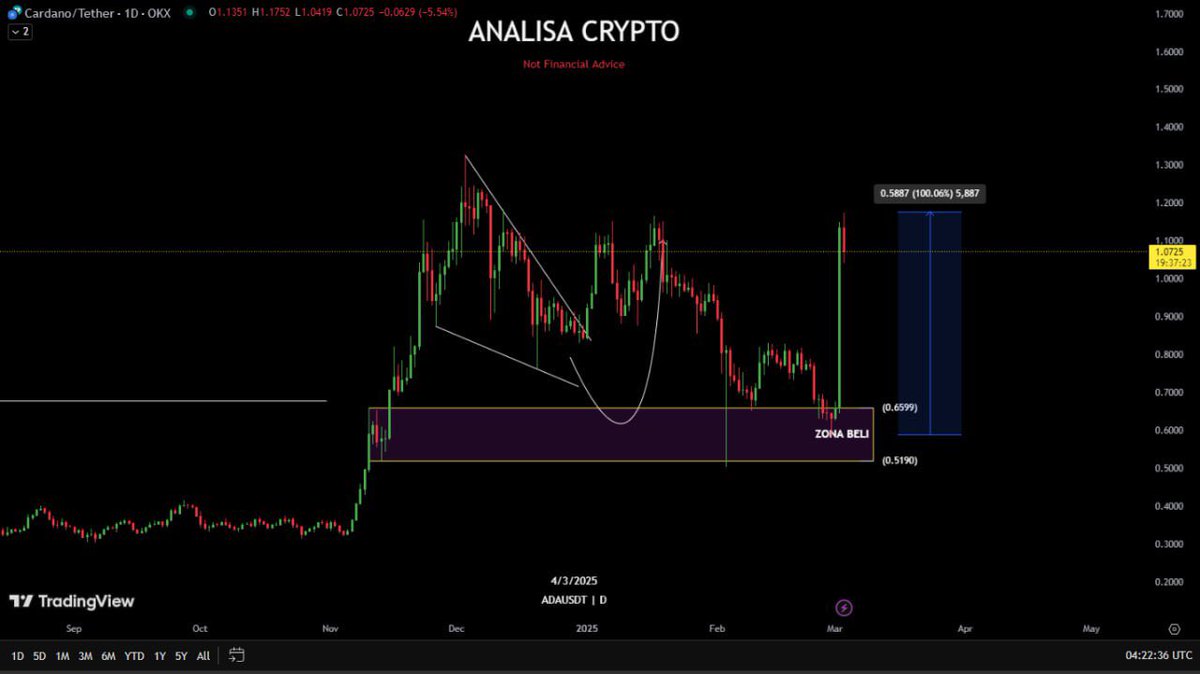 Ancy, CCE, CBP, HMN, BALM tweet media