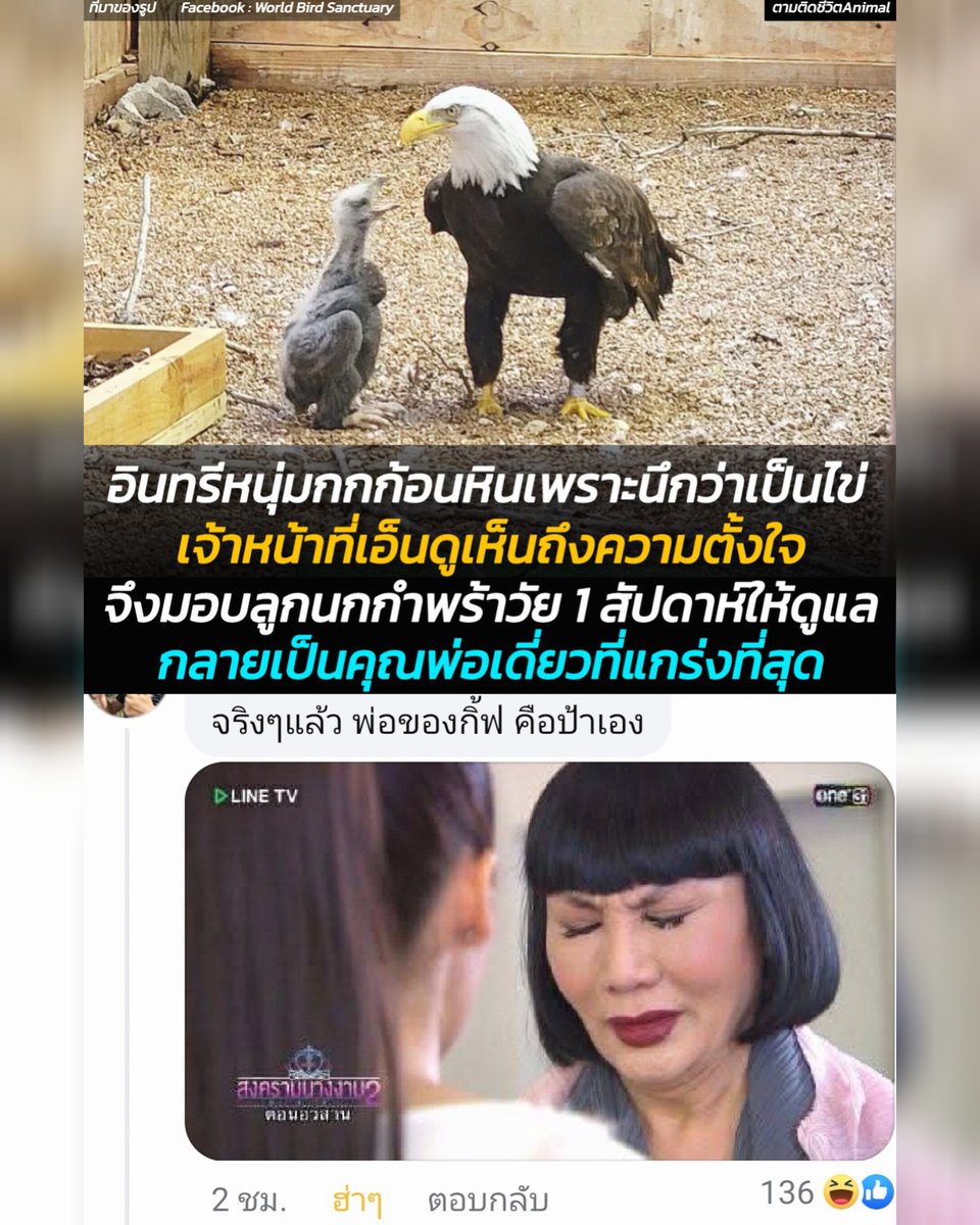 ช่วยด้วยครับ แอดเพาโดนช็อตฟีล 😳🥹🤣