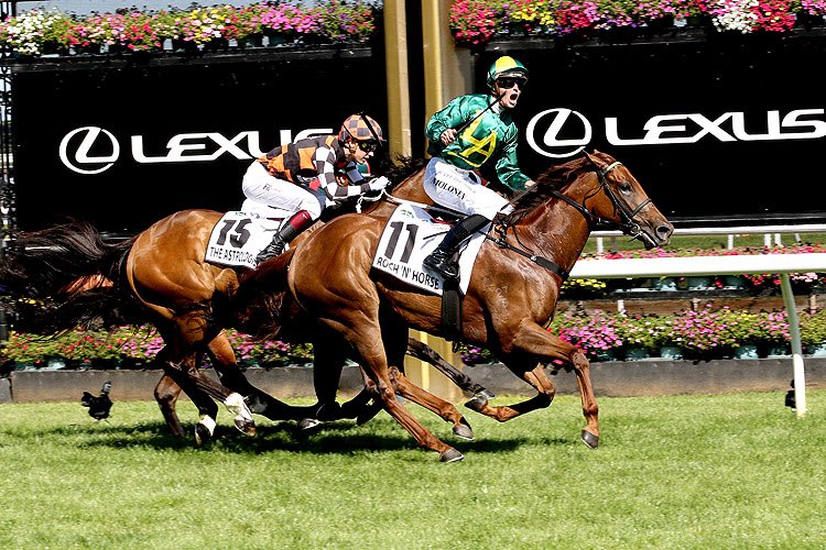 Close family friend of Mike Moroney lands the brother to one of his star sprinters on Day 2 at Inglis Premier.
racingandsports.com.au/news/bloodstoc…