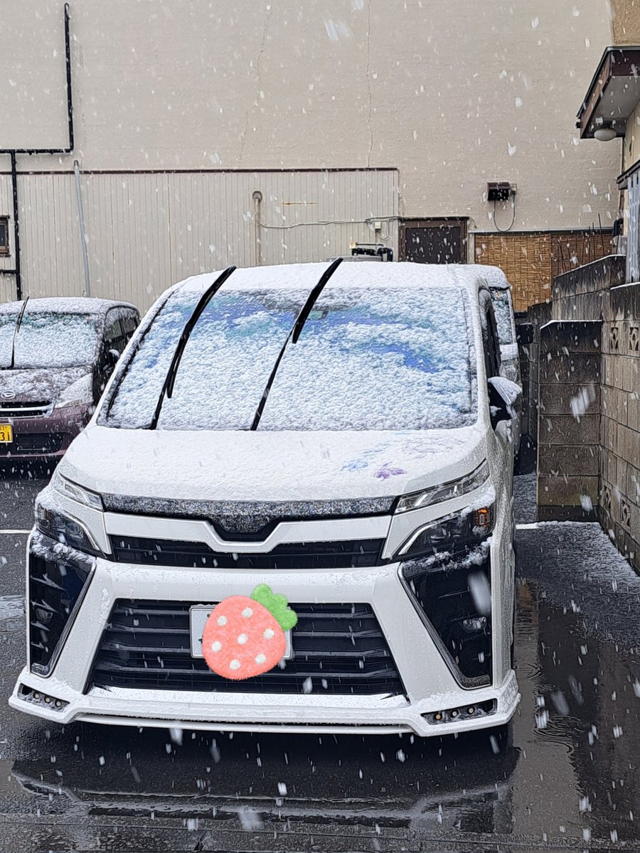 加須は、本格的に☃️