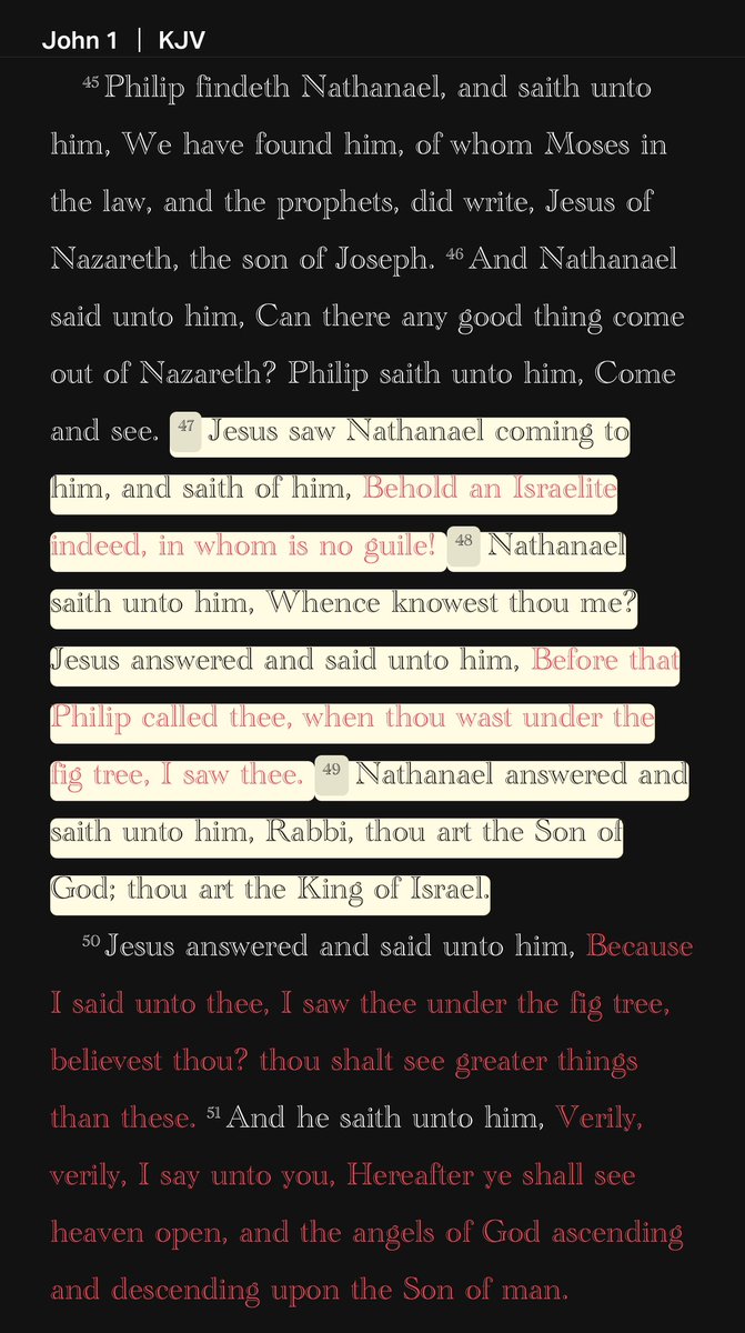 “Jesus saw Nathanael coming to him, and saith of him, Behold an Israelite indeed, in whom is no guile! Nathanael saith unto him, Whence knowest thou me? Jesus answered and said unto him, Before that Philip called thee, when thou wast under the fig tree, I saw thee.”
John 1:47-49