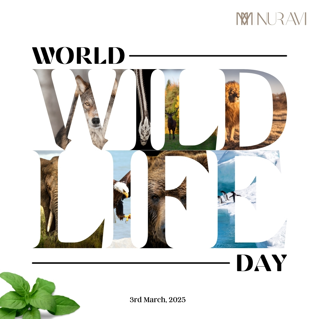 NuraviGroup's tweet photo. The real wealth of the Nation lies in the resources of the earth.

#WorldWildlifeDay #ProtectWildlife #SaveNature #Biodiversity #NatureLovers #EcoFriendly #WildlifeMatters #ConserveNature #SustainableFuture #NuraviFoundation https://t.co/tOPEMMuPOf
