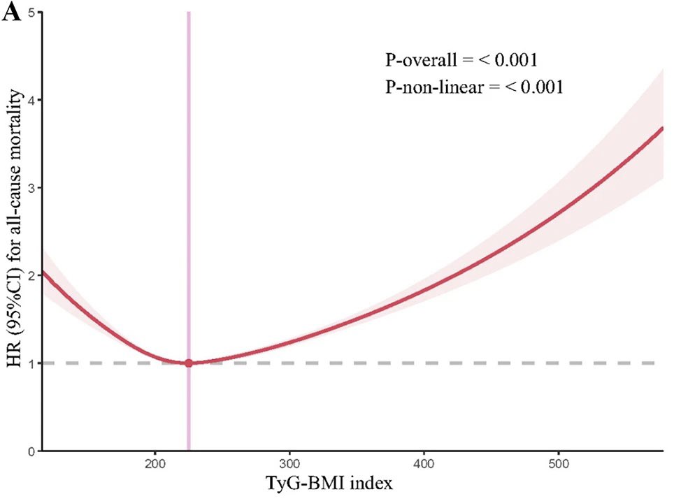 Triglyceride glucose-body mass (TyG-BMI) index serves a good reflection of insulin resistance and accurately assess risks of miocardial infarction MI 🫀 and mortality, in particular among population with #diabetes, non-alcoholic fatty liver disease, acute MI and atrial