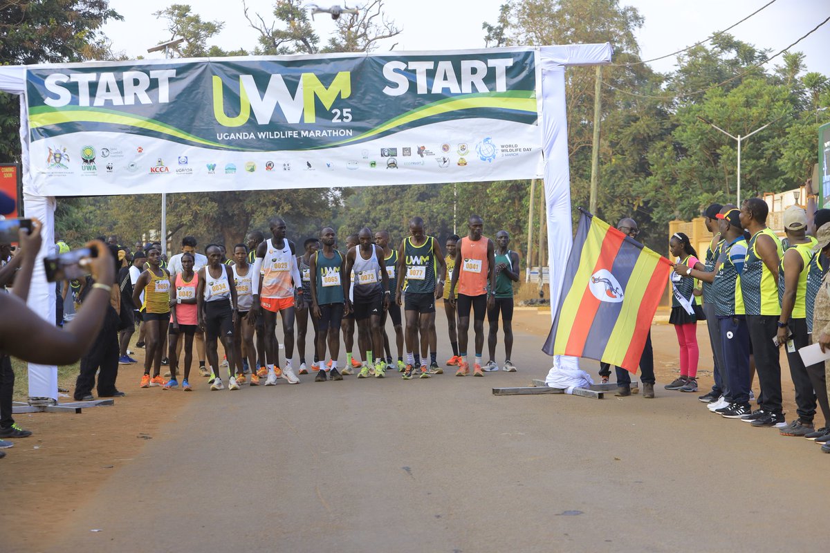 kat_festo's tweet photo. MARATHON – The Race... 🏁🏃‍♂️

The moment we had been waiting for - the marathon kicked off with runners speeding like cheetahs & others jogging like lost tortoises. Either way, everyone was a champion for conservation! 🦓🏆
The Marathon was flagged of by Minister @mugarra
In the order
#UWM25 #WildlifeMarathon #WWD2025