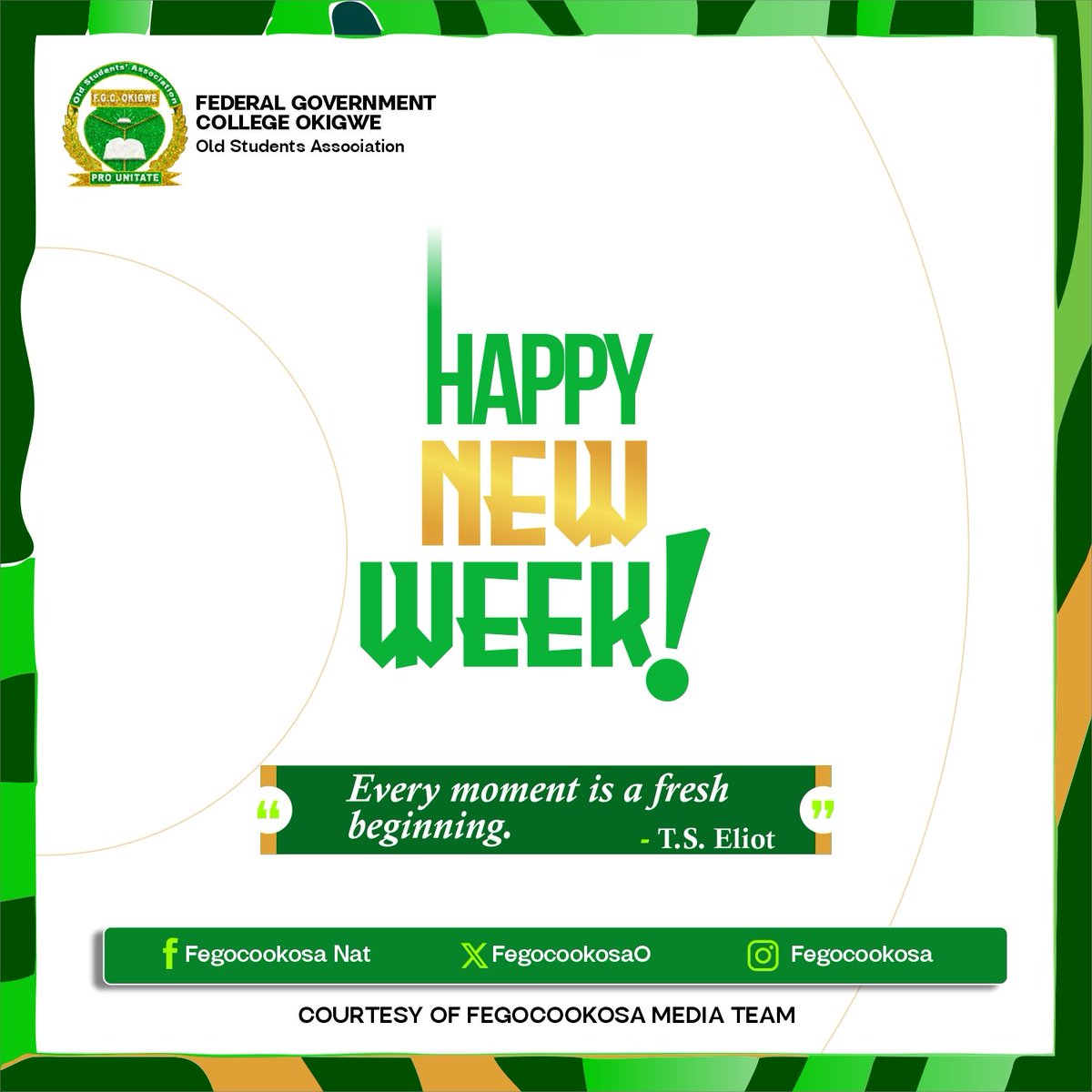FegocookosaO's tweet photo. Happy new week https://t.co/90HG3MvNcz