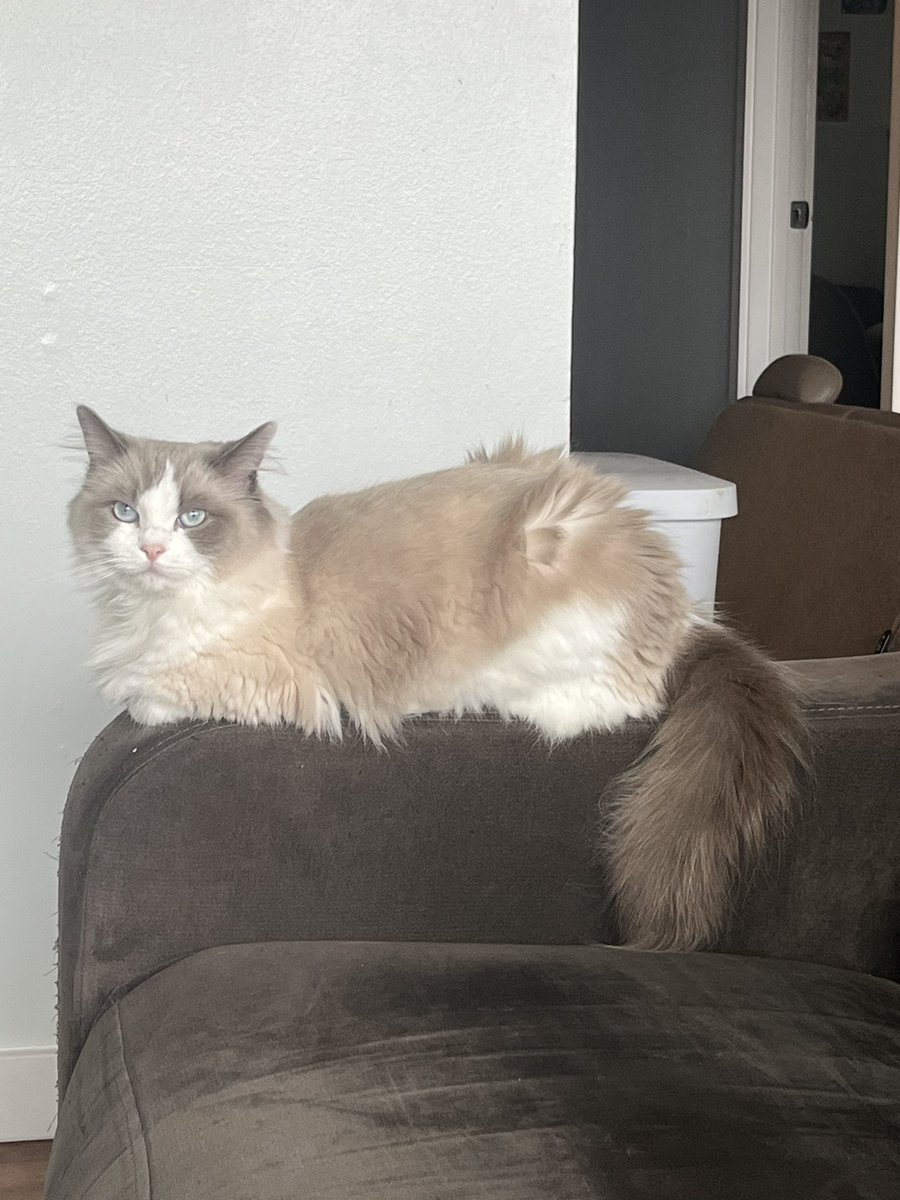 average__frog's tweet image. 