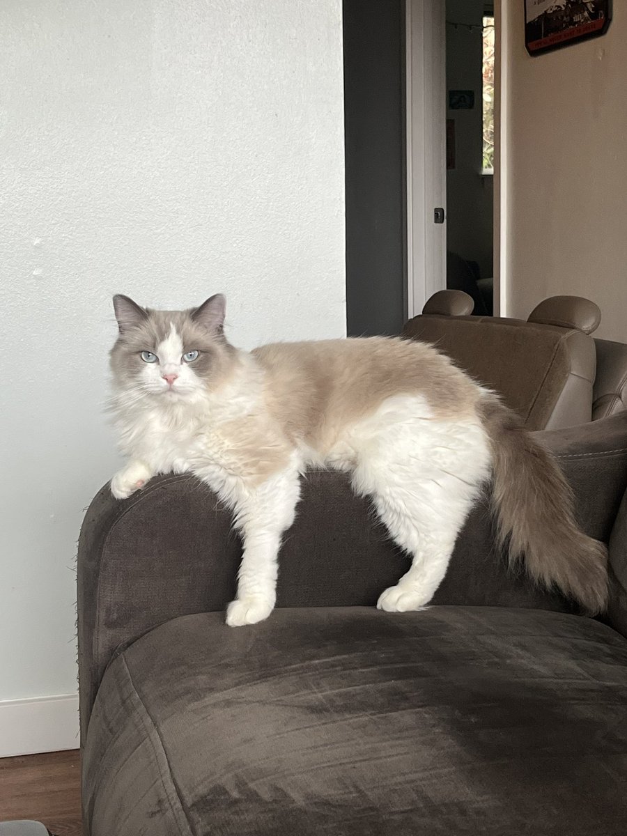 average__frog's tweet image. 