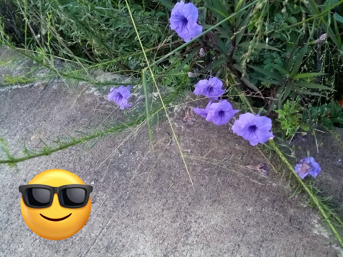 info4u2use's tweet image. Public perception management tactics at play here!! 

Then there is the issues connected to and associated with #InformationBubbles and #Information #FlowPaths that folks need to interpret and manage according to own thoughts where possible.
#JustSaying