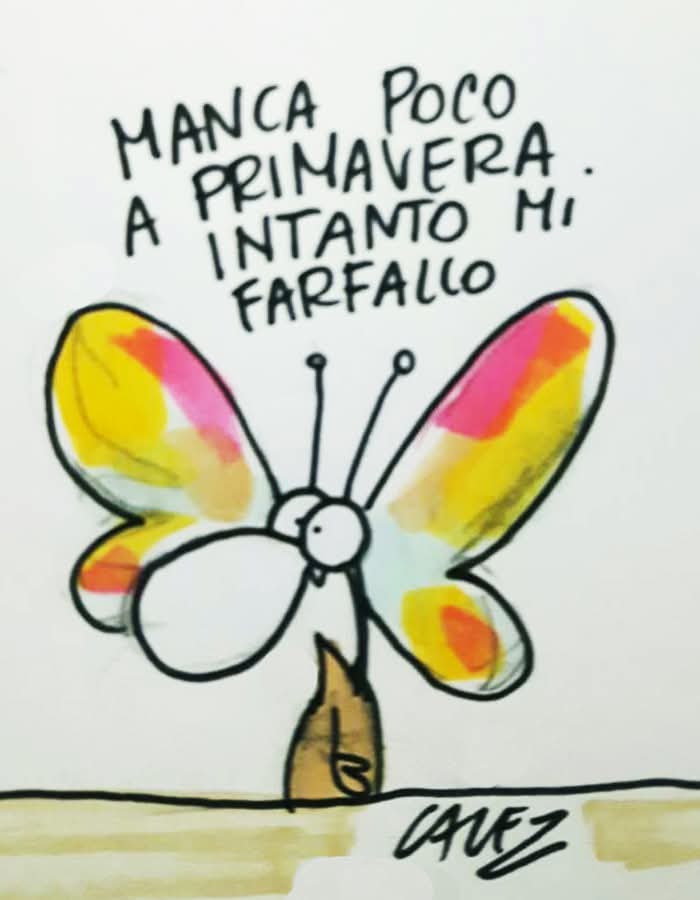 Sabina25537896's tweet photo. Buongiornoo 😊🌸

#Cavez https://t.co/VpVAeR56Od