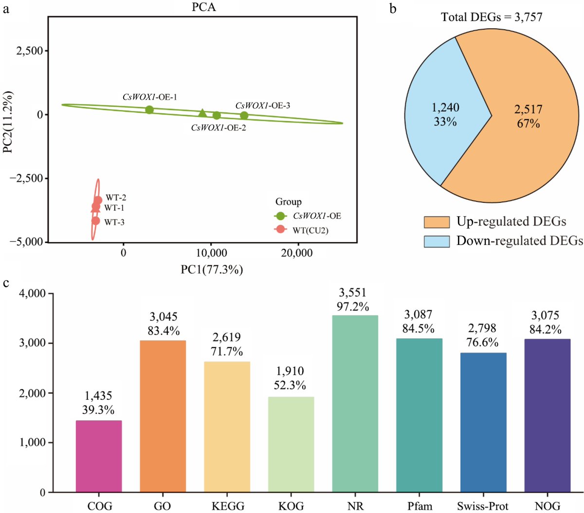 HortiPlant's tweet image. #VegetableRes
CsWOX1 promotes leaf expansion in cucumbers by targeting key genes in circadian and auxin pathways. Study reveals new regulatory links for leaf morphogenesis. 🌿 #PlantGenetics #LeafDevelopment
@MaximumAcademic @NewPhyt @sci_plant 

Details: maxapress.com/article/doi/10…