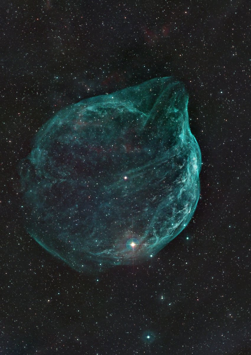 自宅から撮影したSH2-308です
相変わらず被りがひどいので大幅にトリミングしています
いつか遠征でも撮影したい対象です
R200ss コレクターPH ASI2600MC  GAIN100 -10℃ 300sec*292（24ｈ20m） L-Ultimate