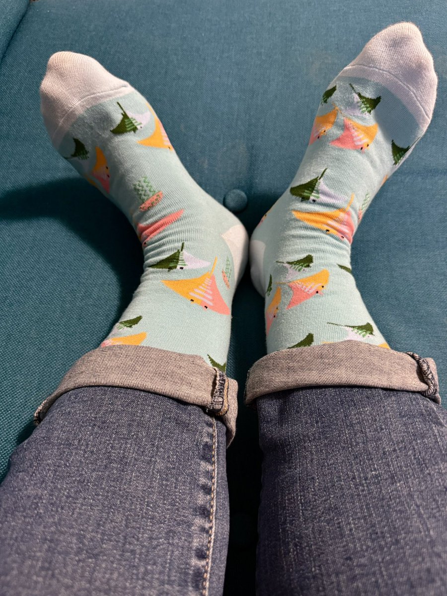 Good Morning 3/3. 🌱
Hello to my 44th 💫 turn around the ☀️
I’m ready for you 🫵

Bring me 💞love, help me cultivate it 🪴and let me share it with all of the amazing people in and around my life.