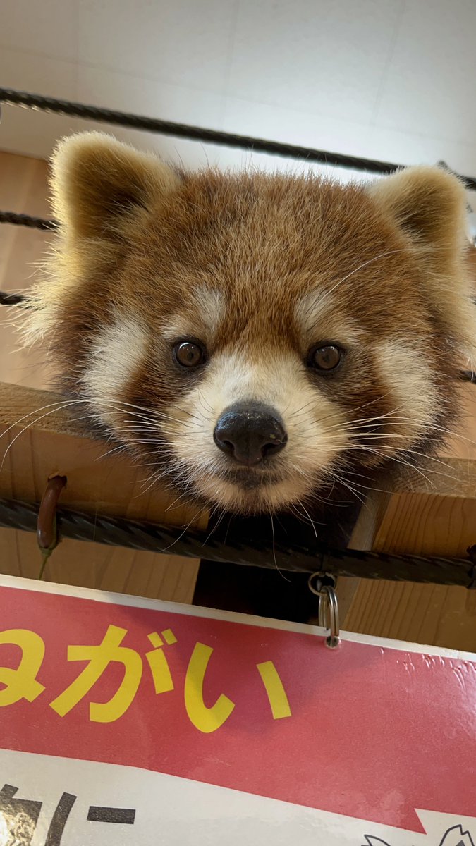 かえでです♡ 秒撮📸 天神娘・小島かえでちゃん @kaeg_ram これにて終了です