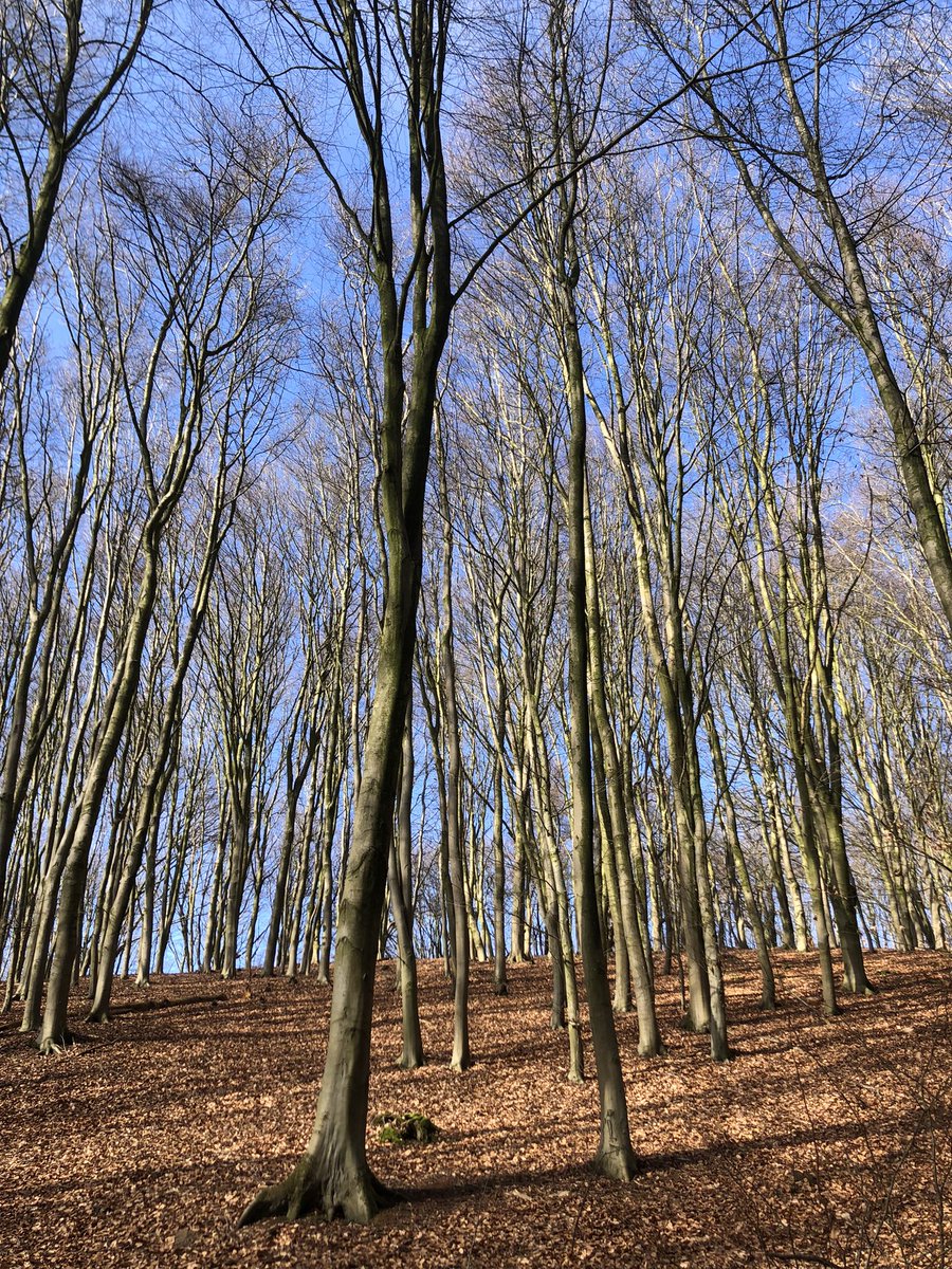jogerthe's tweet photo. #Doorwerth #klompenpad https://t.co/xSQGbtpDeN