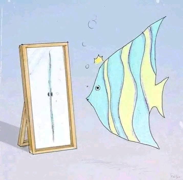 Sometimes, you don’t recognize how beautiful you are until you see yourself through the eyes of someone who truly values and loves you.

Wakati mwingine hauelewi jinsi ulivyo mzuri mpaka ujitazame kupitia macho ya mtu ambaye anakuthamini na anakupenda kwa dhati."