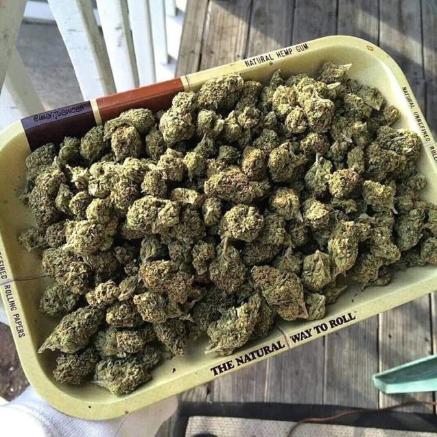 This stash can last you a month if you're an average stoner do you agree yes/no ?
