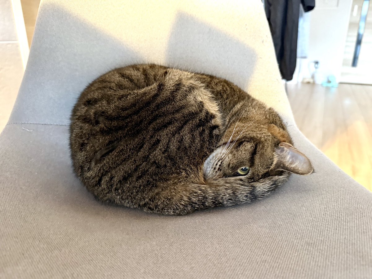 いつのまにか逆向きに。