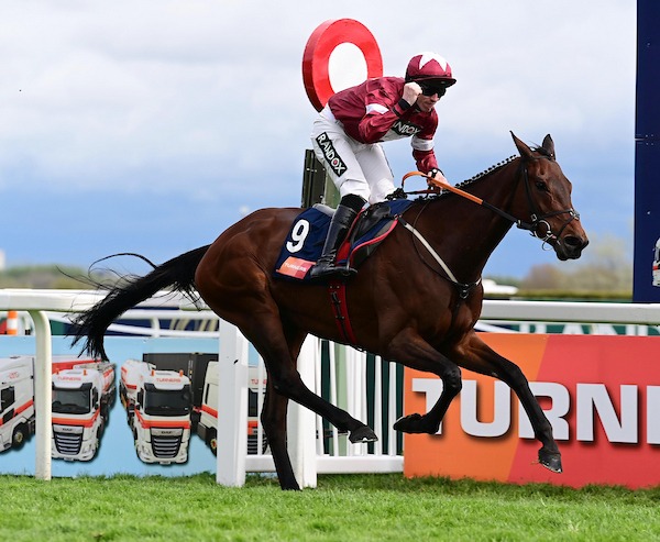 Brighterdaysahead Cheltenham decision has been made 👇
gordonelliottracing.com/brighterdaysah…