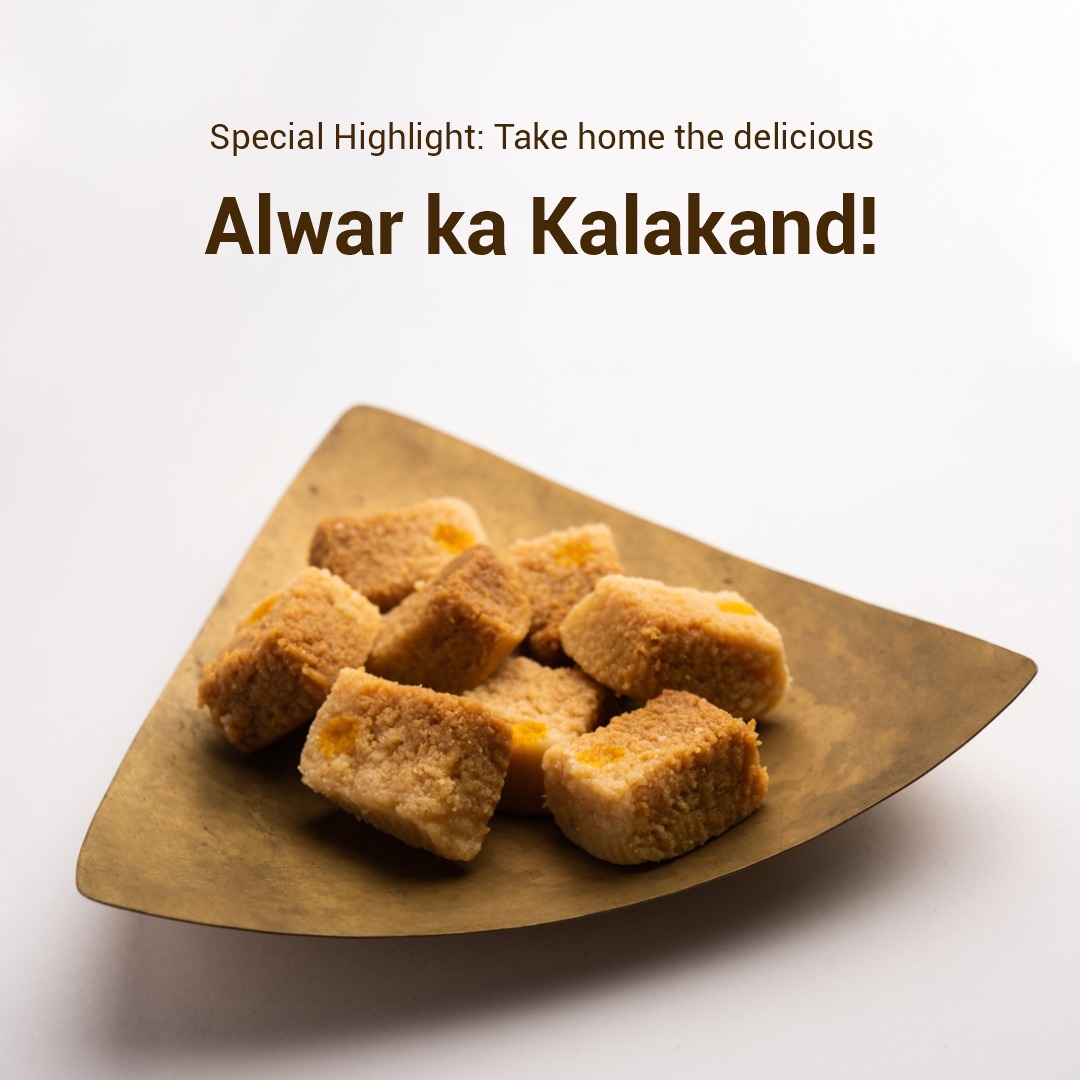 अलवर का सरिस्का टाइगर रिजर्व, जहां 2008 तक एक भी बाघ नहीं बचा था, आज 42 बाघों (शावकों सहित) का घर बन चुका है।

बाघों की वापसी के साथ जंगल की रौनक लौट आई है—पेड़-पौधे, झीलें, और पूरी जैव विविधता फिर से खिल उठी है।

अगर आप दिल्ली या जयपुर के आसपास हैं और इस सुहाने बसंत के मौसम में