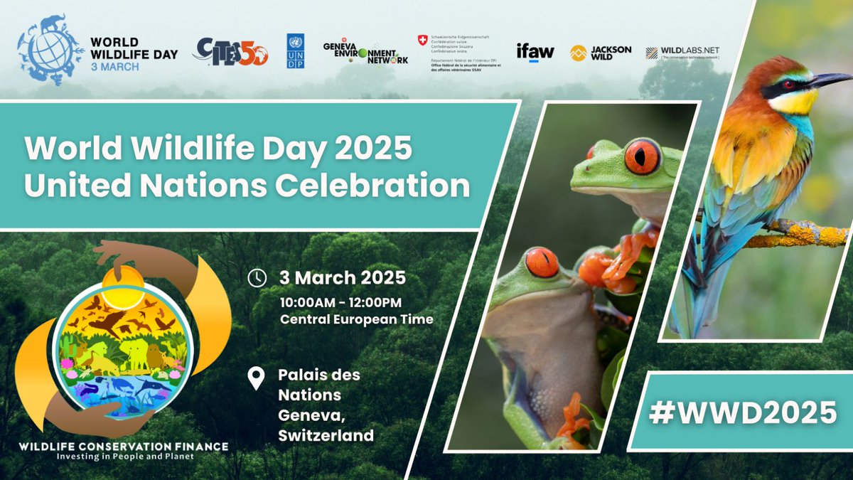 Join the <a href="/UN/">United Nations</a> #WorldWildlifeDay 2025 celebration online today!

📺Livestream:  bit.ly/4kqrgW2
🕐 10AM - 12PM CET
📅 Today, 3 March 2025

#WWD2025 #WildlifeConservationFinance #InvestingInPeopleAndPlanet
