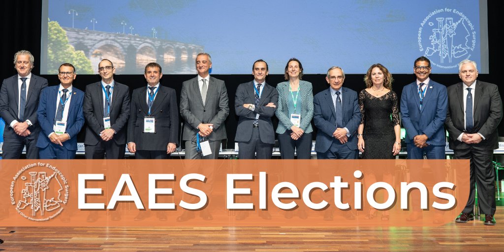 Become active at the very core of the EAESFamily!
Only for EAES members: we are currently seeking candidates for the positions of General Secretary, Treasurer, and Internal Auditor.
By joining the EB, you will play a vital role in supporting innovation in MIS. Application in mail