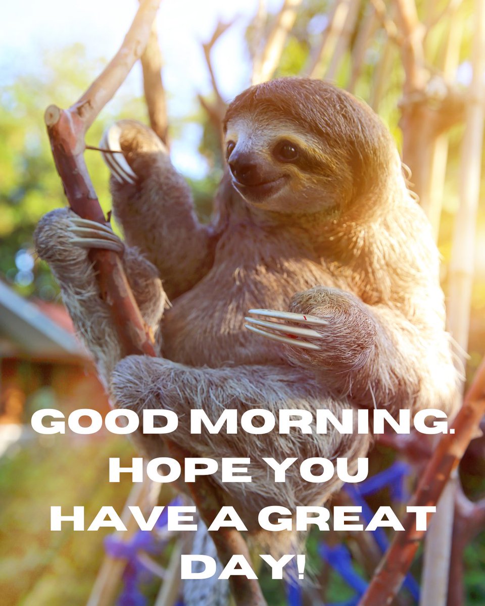 Good morning, sloth lovers! 🌞🦥 Wishing you a slow and steady day ahead.  Take a moment to relax and embrace the chill—just like our furry friends!  Have a great day! 💚 #SlothLove #, image size:960x1200