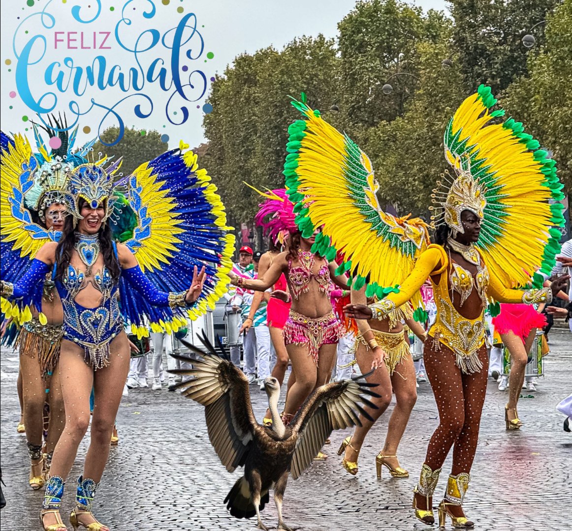 O abutre foi ao Carnaval pediu ao primo para assumir o lugar no logo. 😜Feliz Carnaval!