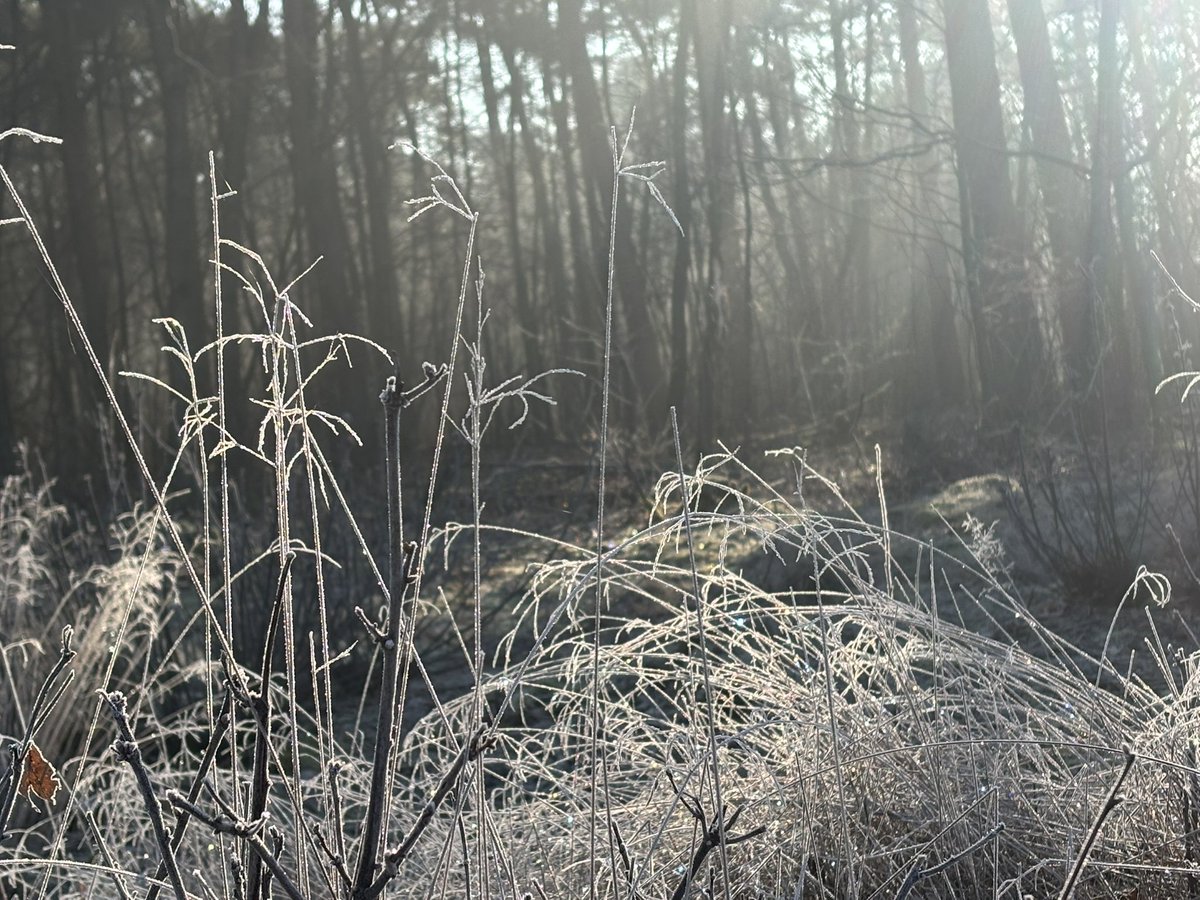 Oh wat is het mooi deze morgen! Naar buiten luitjes!! Als je kunt.