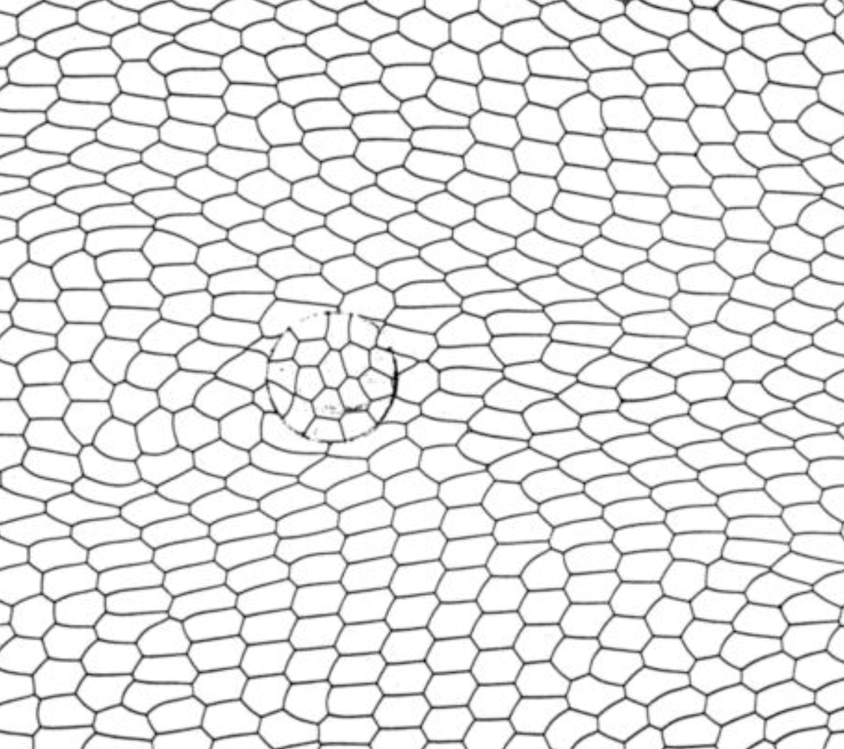 PhysRevFluids's tweet photo. 🗓️✏️ From the February issue
(1) https://t.co/Bm4qK9ljyY
(2) https://t.co/NFF9gJC9sO
(3) https://t.co/KJzXlFFi8y
(4) https://t.co/PV6ORMUEy4
Check out these and other publications from last month at https://t.co/ldMEwkLEr5 ! https://t.co/BvfQaLWUpm